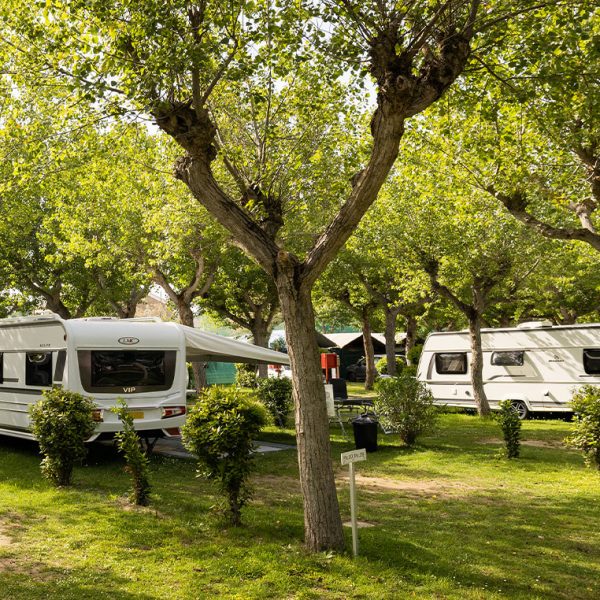 Camping Classe Village-3