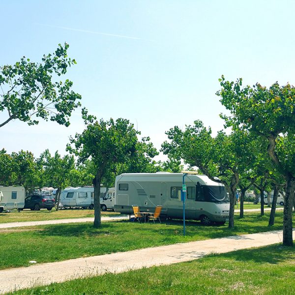 Camping Adria Riccione-0