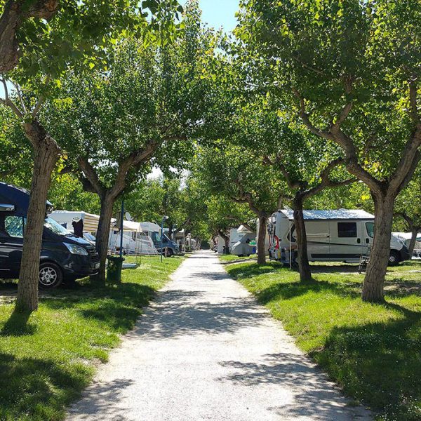 Camping Adria Riccione-7