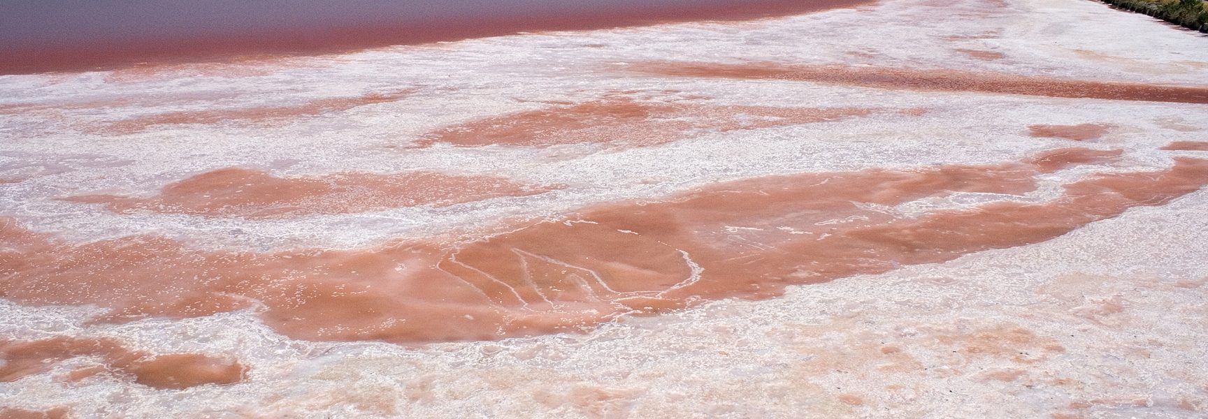 Les salines de Cervia, de l’or rose !